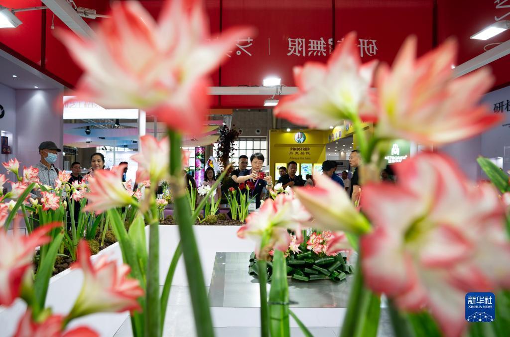 2019白菜彩金优惠网站