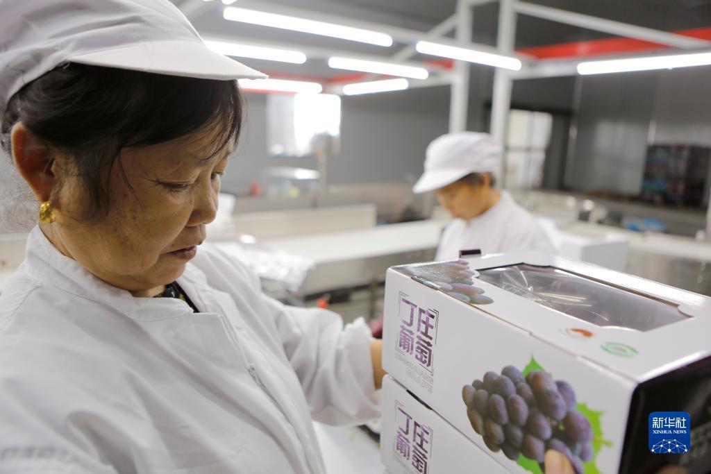 大红鹰欢迎您111