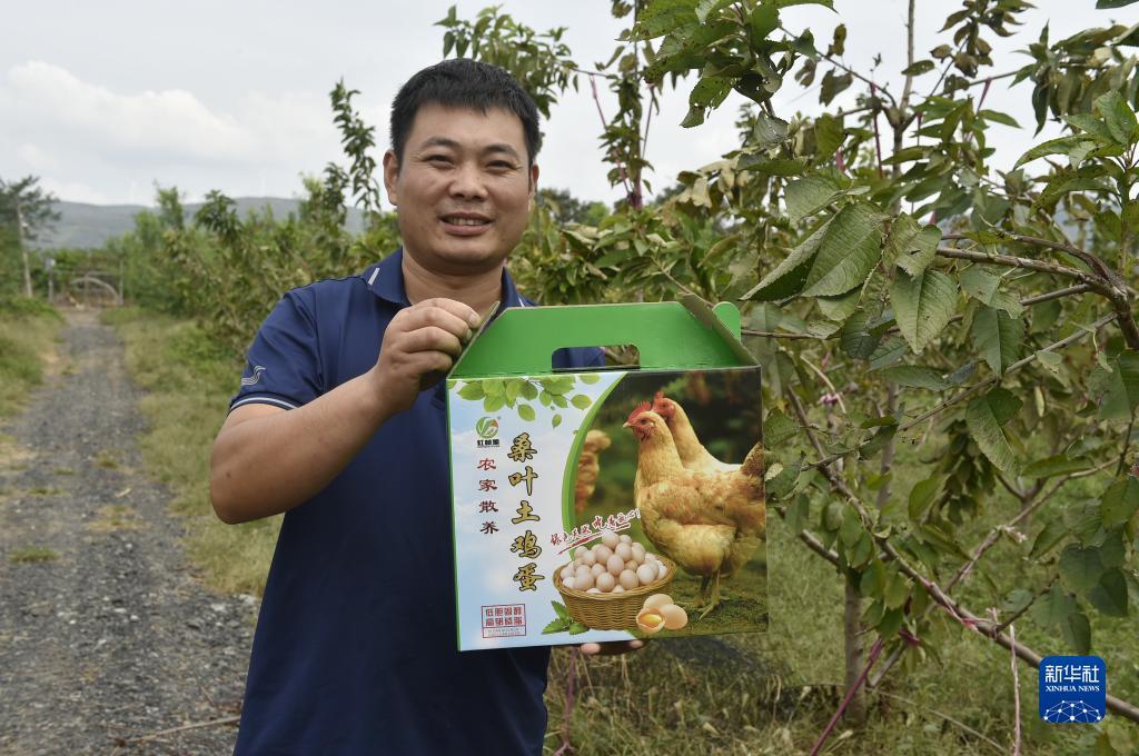 菠菜lol